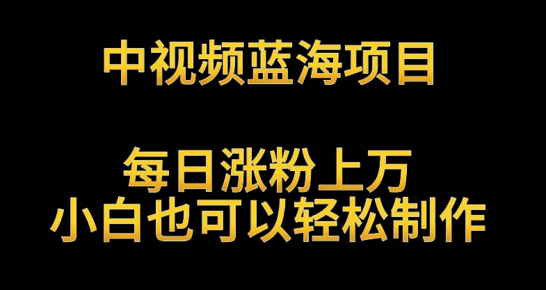 中视频蓝海项目，解读英雄人物生平，每日涨粉上万，小白也可以轻松制作，月入过万不是梦【揭秘】-晟哥学社资源库