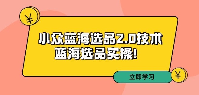 拼多多培训第33期：小众蓝海选品2.0技术-蓝海选品实操！-晟哥学社资源库