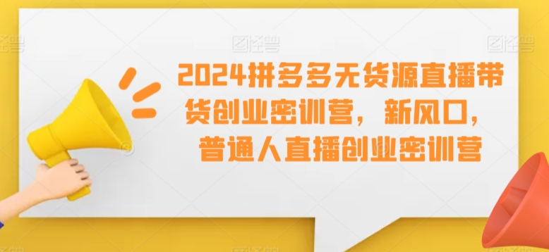 2024拼多多无货源直播带货创业密训营，新风口，普通人直播创业密训营-晟哥学社资源库