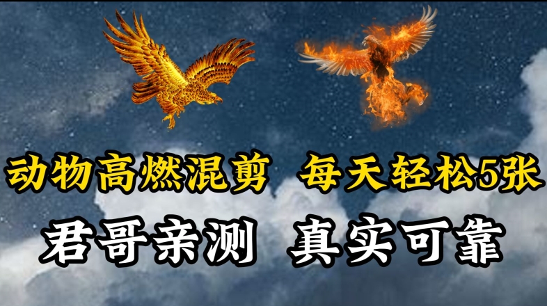 动物超燃混剪，每天轻松5张，剪辑简单大家爱看【揭秘】-晟哥学社资源库
