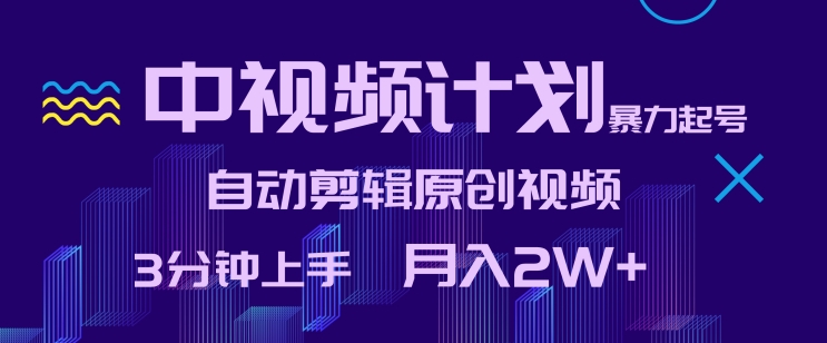 中视频计划暴力起号，自动剪辑原创视频，3分钟上手，月入2W+【揭秘】-晟哥学社资源库