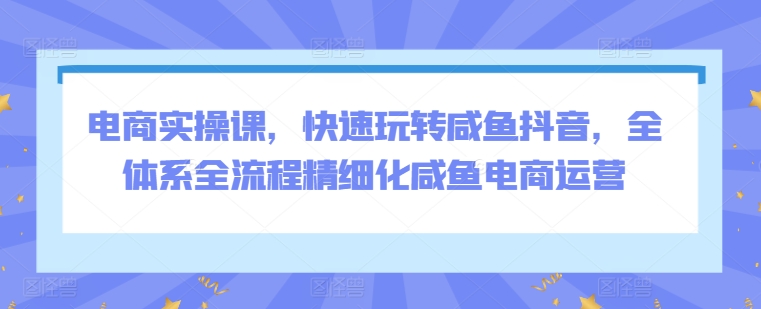电商实操课，快速玩转咸鱼抖音，全体系全流程精细化咸鱼电商运营-晟哥学社资源库