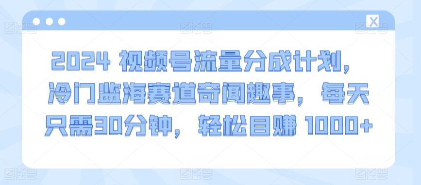 2024视频号流量分成计划，冷门监海赛道奇闻趣事，每天只需30分钟，轻松目赚 1000+【揭秘】-晟哥学社资源库