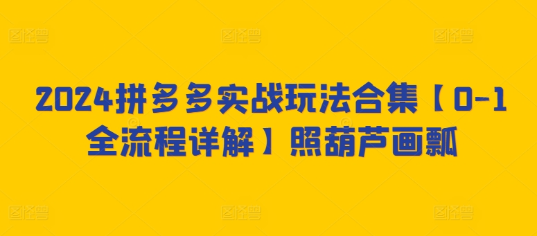 2024拼多多实战玩法合集【0-1全流程详解】照葫芦画瓢-晟哥学社资源库