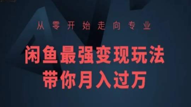 从零开始走向专业，闲鱼最强变现玩法带你月入过万-晟哥学社资源库