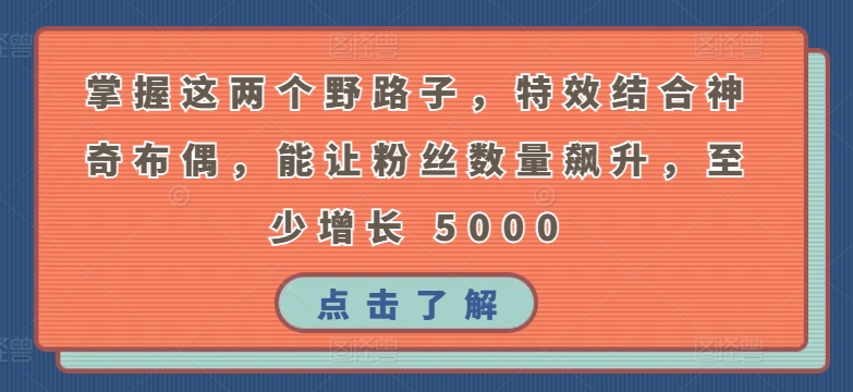 掌握这两个野路子，特效结合神奇布偶，能让粉丝数量飙升，至少增长 5000【揭秘】-晟哥学社资源库