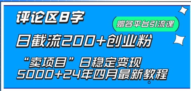 抖音评论区8字日截流200+创业粉 “卖项目”日稳定变现5000+【揭秘】-晟哥学社资源库