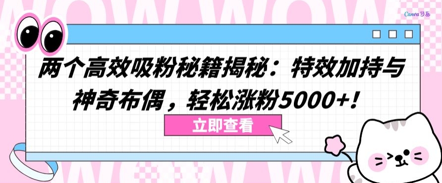 两个高效吸粉秘籍揭秘：特效加持与神奇布偶，轻松涨粉5000+【揭秘】-晟哥学社资源库
