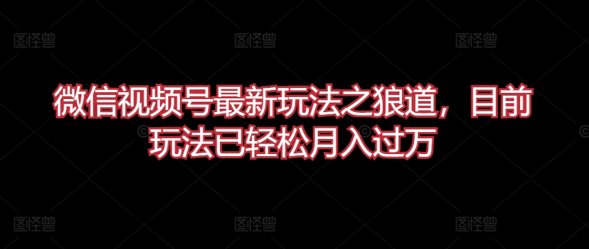 微信视频号最新玩法之狼道，目前玩法已轻松月入过万【揭秘】-晟哥学社资源库