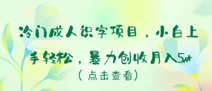 冷门成人识字项目，小白上手轻松，暴力创收月入5w+【揭秘】-晟哥学社资源库