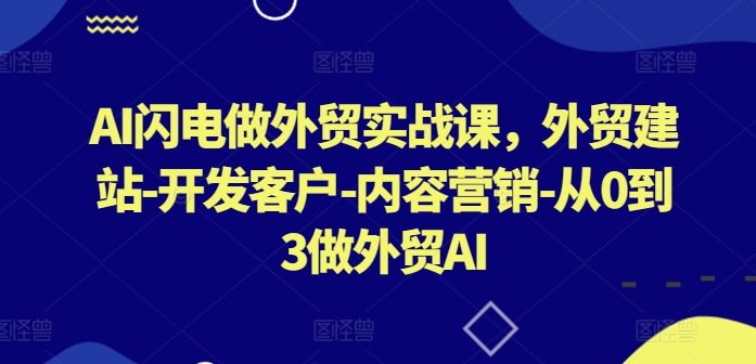 AI闪电做外贸实战课，​外贸建站-开发客户-内容营销-从0到3做外贸AI-晟哥学社资源库