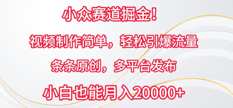 小众赛道掘金，视频制作简单，轻松引爆流量，条条原创，多平台发布【揭秘】-晟哥学社资源库