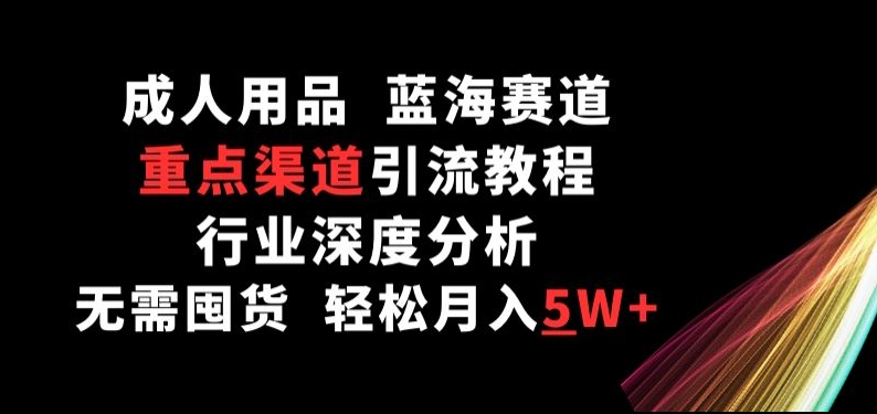 成人用品，蓝海赛道，重点渠道引流教程，行业深度分析，无需囤货，轻松月入5W+【揭秘】-晟哥学社资源库