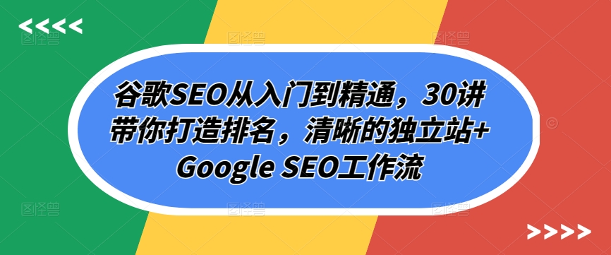 谷歌SEO从入门到精通，30讲带你打造排名，清晰的独立站+Google SEO工作流-晟哥学社资源库