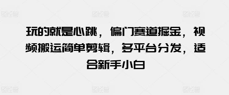 玩的就是心跳，偏门赛道掘金，视频搬运简单剪辑，多平台分发，适合新手小白【揭秘】-晟哥学社资源库