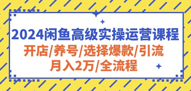 2024闲鱼高级实操运营课程：开店/养号/选择爆款/引流/月入2万/全流程-晟哥学社资源库