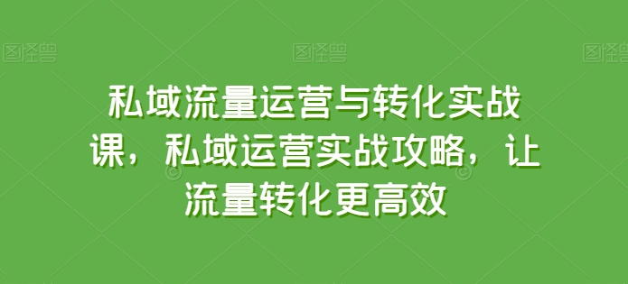 私域流量运营与转化实战课，私域运营实战攻略，让流量转化更高效-晟哥学社资源库