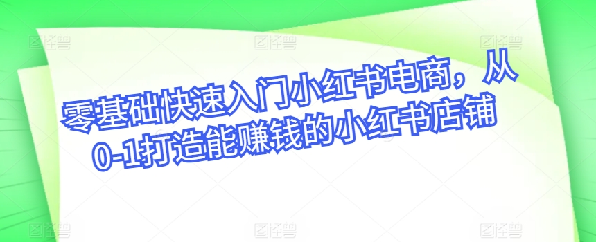 零基础快速入门小红书电商，从0-1打造能赚钱的小红书店铺-晟哥学社资源库