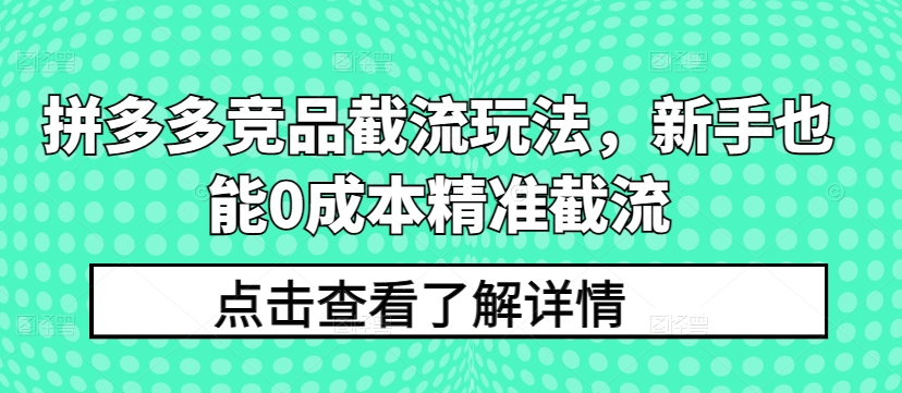 拼多多竞品截流玩法，新手也能0成本精准截流-晟哥学社资源库