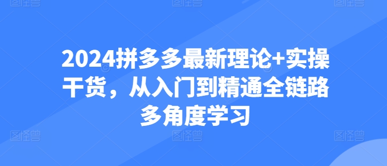 2024拼多多最新理论+实操干货，从入门到精通全链路多角度学习-晟哥学社资源库