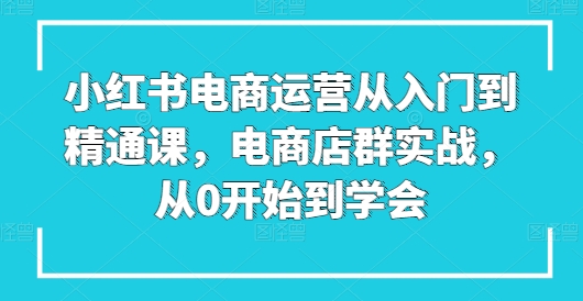 小红书电商运营从入门到精通课，电商店群实战，从0开始到学会-晟哥学社资源库