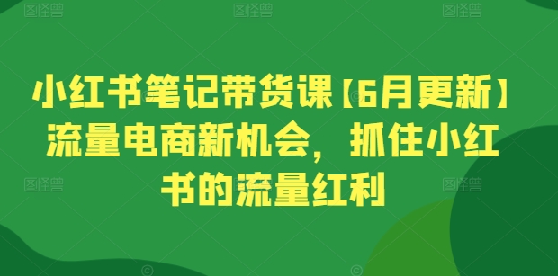 小红书笔记带货课【6月更新】流量电商新机会，抓住小红书的流量红利-晟哥学社资源库