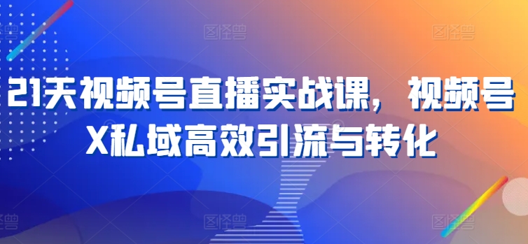 21天视频号直播实战课，视频号X私域高效引流与转化-晟哥学社资源库