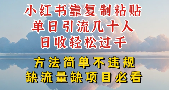 小红书靠复制粘贴单日引流几十人目收轻松过千，方法简单不违规【揭秘】-晟哥学社资源库
