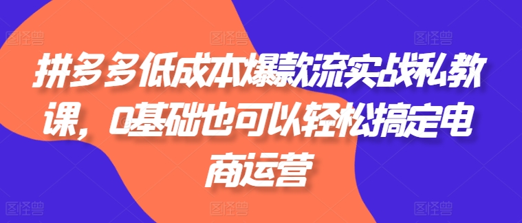 拼多多低成本爆款流实战私教课，0基础也可以轻松搞定电商运营-晟哥学社资源库