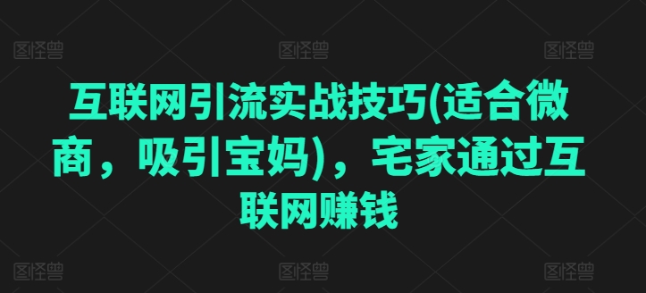 互联网引流实战技巧(适合微商，吸引宝妈)，宅家通过互联网赚钱-晟哥学社资源库