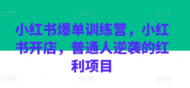 小红书爆单训练营，小红书开店，普通人逆袭的红利项目-晟哥学社资源库
