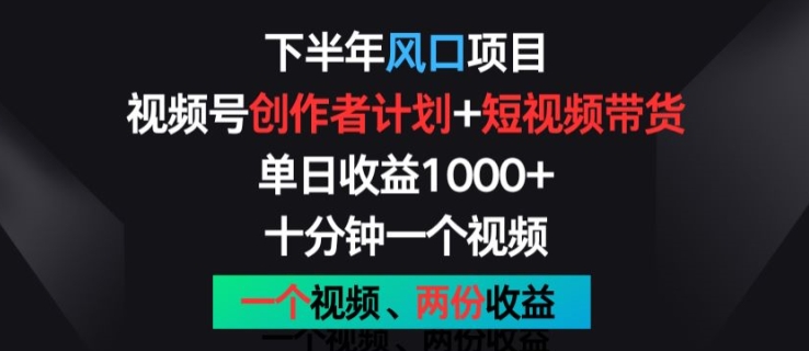下半年风口项目，视频号创作者计划+视频带货，一个视频两份收益，十分钟一个视频【揭秘】-晟哥学社资源库