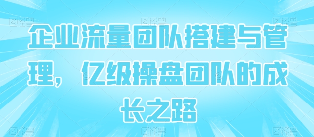 企业流量团队搭建与管理，亿级操盘团队的成长之路-晟哥学社资源库