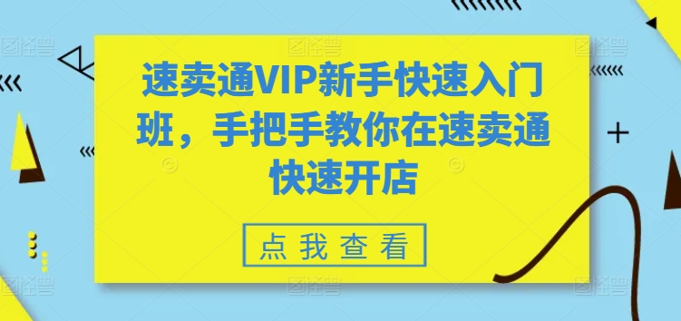 速卖通VIP新手快速入门班，手把手教你在速卖通快速开店-晟哥学社资源库