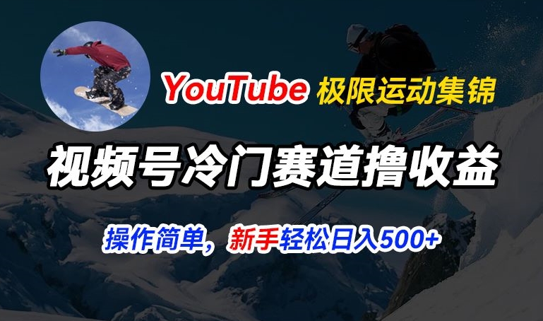 视频号冷门赛道撸收益，YouTube搬运极限运动集锦，暴力起号，操作简单流量高，轻松日入5张【揭秘】-晟哥学社资源库