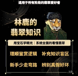 林鹿的翡翠知识，​用宝石眼光，系统全面的看懂翡翠-晟哥学社资源库
