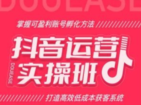 抖音运营实操班，掌握可盈利账号孵化方法，打造高效低成本获客系统-晟哥学社资源库