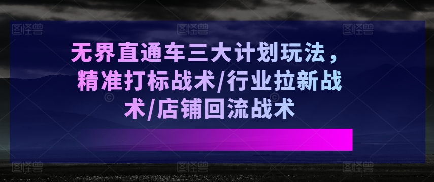 无界直通车三大计划玩法，精准打标战术/行业拉新战术/店铺回流战术-晟哥学社资源库