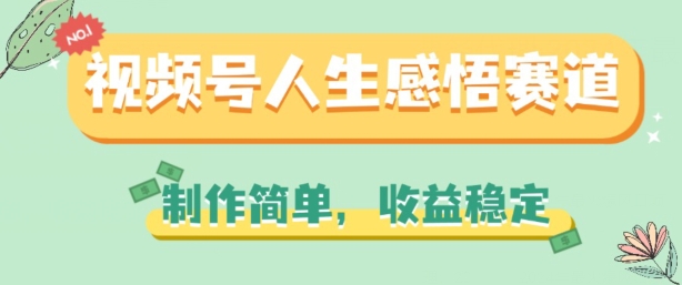 视频号人生感悟赛道，制作简单，收益稳定【揭秘】-晟哥学社资源库
