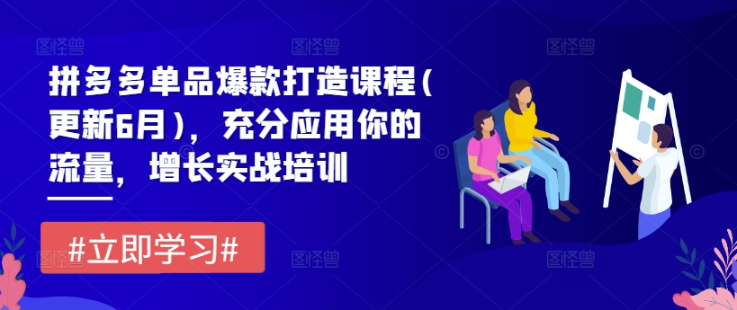 拼多多单品爆款打造课程(更新6月)，充分应用你的流量，增长实战培训-晟哥学社资源库