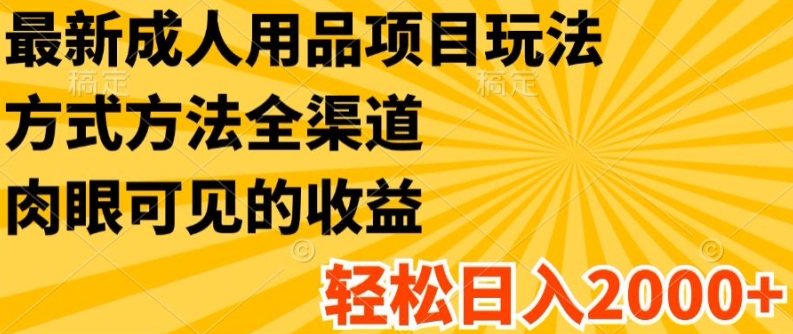 最新成人用品项目玩法，方式方法全渠道，轻松日入2K+【揭秘】-晟哥学社资源库
