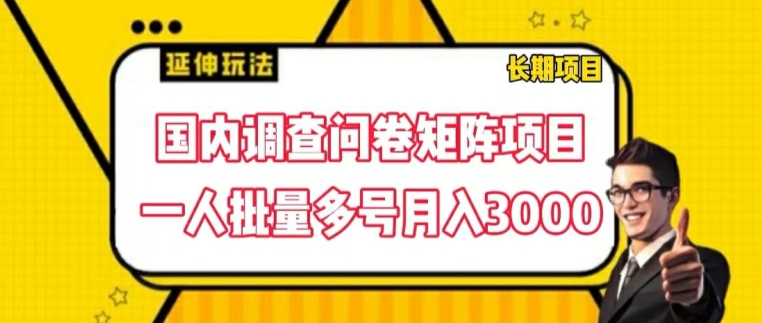 国内调查问卷矩阵项目，一人批量多号月入3000【揭秘】-晟哥学社资源库
