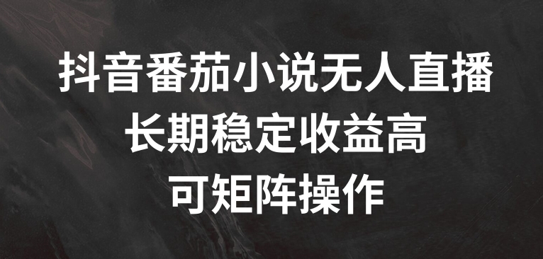 抖音番茄小说无人直播，长期稳定收益高，可矩阵操作【揭秘】-晟哥学社资源库