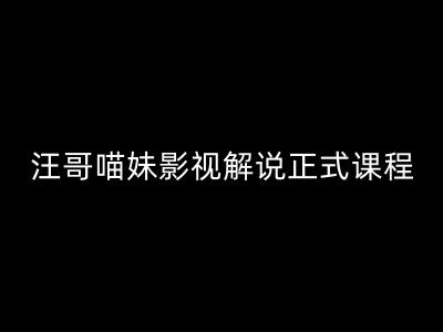 汪哥影视解说正式课程：剪映/PR教学/视解说剪辑5大黄金法则/全流程剪辑7把利器等等-晟哥学社资源库