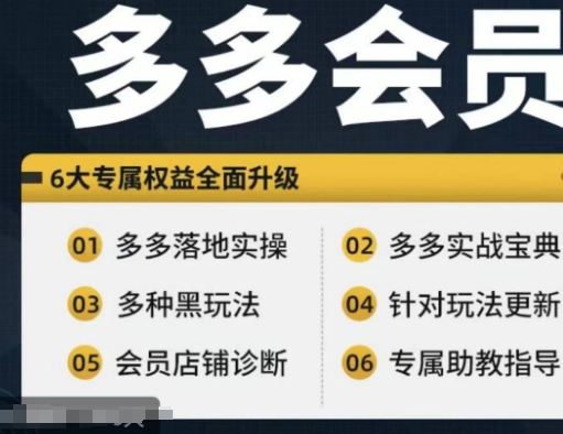 拼多多会员，拼多多实战宝典+实战落地实操，从新手到高阶内容全面覆盖-晟哥学社资源库