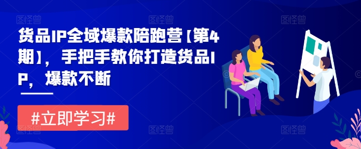 货品IP全域爆款陪跑营【第4期】，手把手教你打造货品IP，爆款不断-晟哥学社资源库