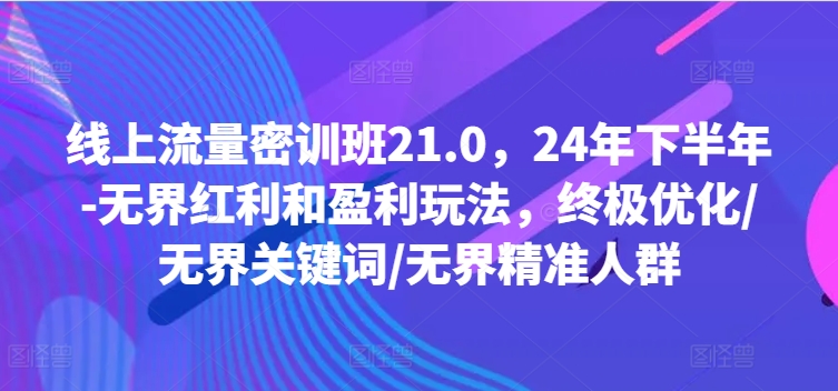 线上流量密训班21.0，24年下半年-无界红利和盈利玩法，终极优化/无界关键词/无界精准人群-晟哥学社资源库