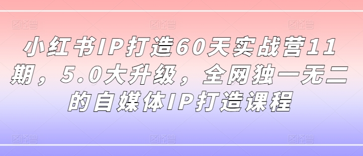 小红书IP打造60天实战营11期，5.0大升级，全网独一无二的自媒体IP打造课程-晟哥学社资源库