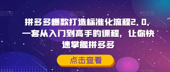 拼多多爆款打造标准化流程2.0，一套从入门到高手的课程，让你快速掌握拼多多-晟哥学社资源库