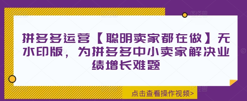 拼多多运营【聪明卖家都在做】无水印版，为拼多多中小卖家解决业绩增长难题-晟哥学社资源库